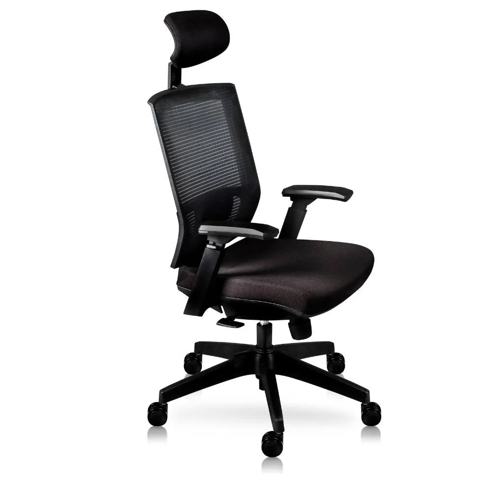 Ejecutiva ergonómica · fotografía de referencia 1