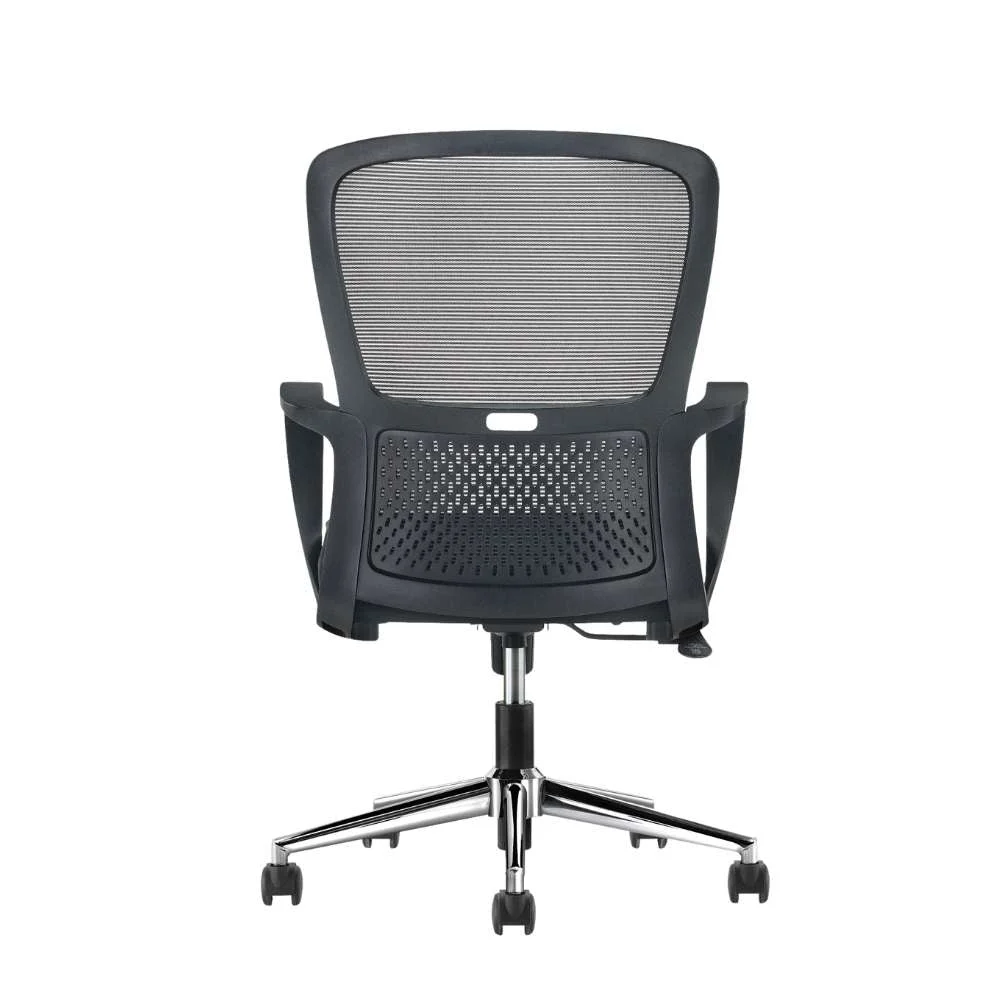 Ejecutiva lumbar · fotografía de referencia 2