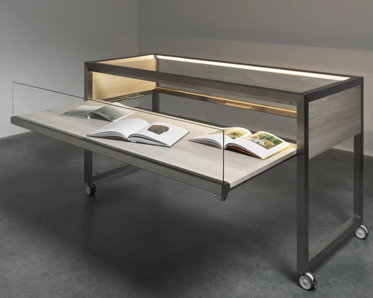 Vitrina museográfica · fotografía de referencia 2
